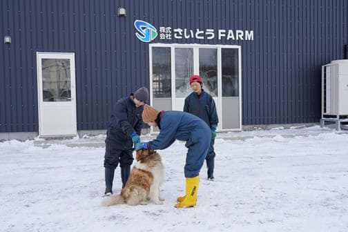 集合写真
