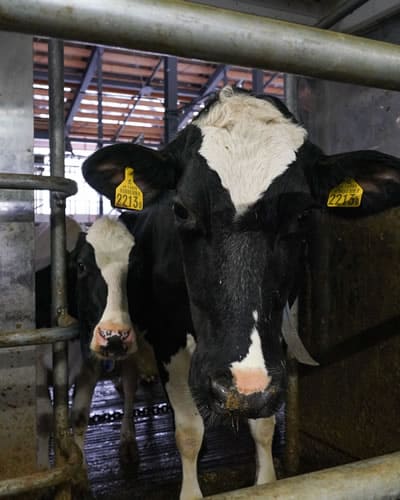 さいとうFARMについて